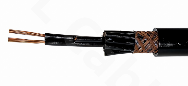 Cu/XLPE/CWB/FR-PVC Control Cable (450/750V 19×2.5mm²)