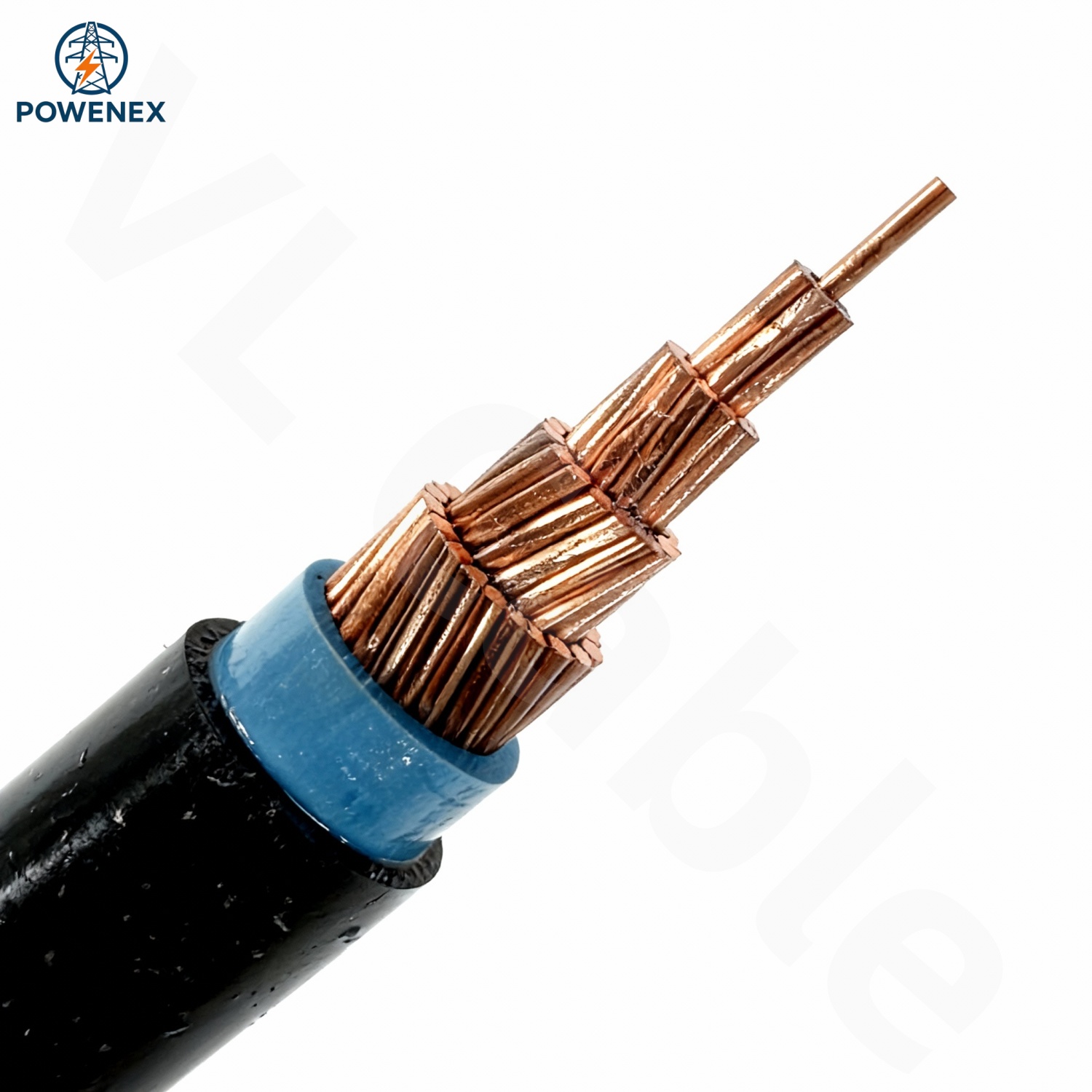 Model Ref: Cu/PVC/PVC (Single Core 300/500V 300mm²) Flame Retardancy: Class A (GB/T 19666 / IEC 60332-3-22)